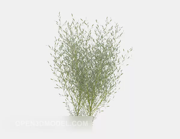Courtyard Decorative Plant Tree 3d model Courtyard Decorative Plant Tree 3d model