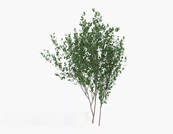 Cultivate Green Saplings Tree 3d model Cultivate Green Saplings Tree 3d model