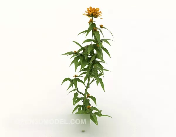 Cultivated Plant 3d model Cultivated Plant 3d model
