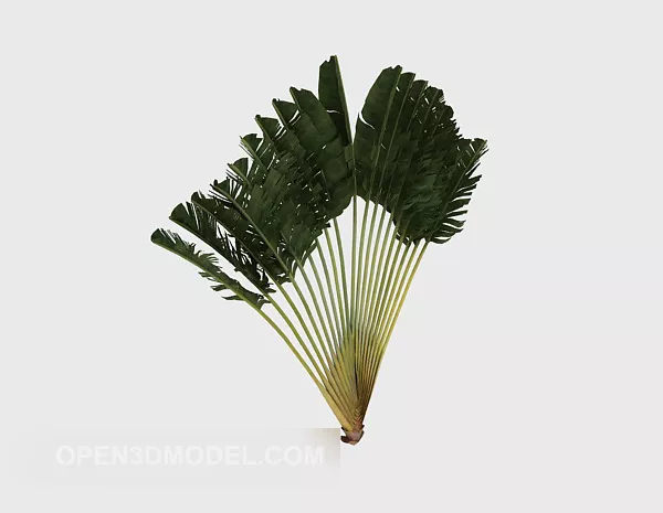 Garden Feather Fan Tree 3d model Garden Feather Fan Tree 3d model