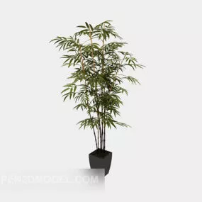 Decorative Potted Plant 3d model