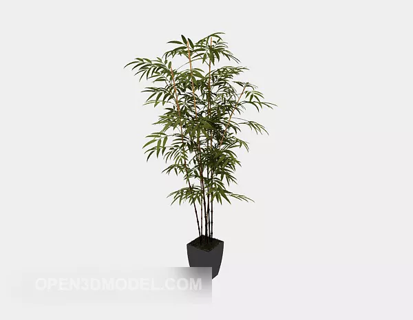 Decorative Potted Plant 3d model Decorative Potted Plant 3d model
