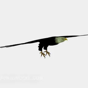 Flying Eagle Bird Animal 3d model
