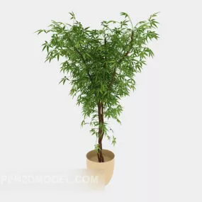 Environmentally Potted Plant 3d model
