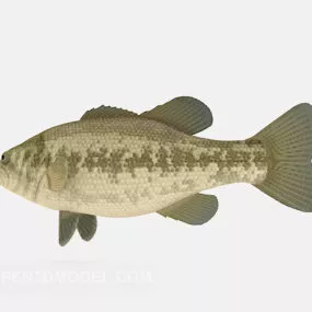 Fish Appreciation Animal 3d model