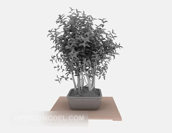 Potted White Lily Flower 3d model