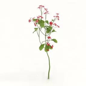 Flowering Green Plant Tree 3d model