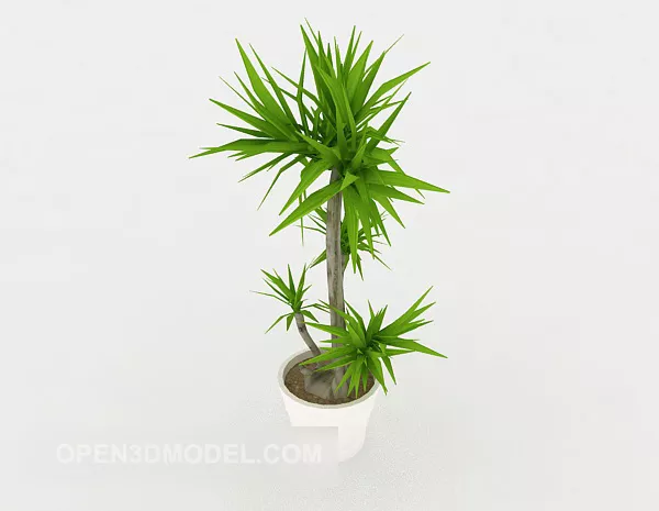 Fresh Indoor Plant 3d model Fresh Indoor Plant 3d model