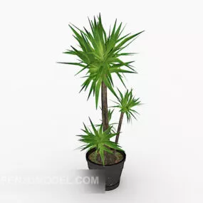 Fresh Indoor Potted 3d model