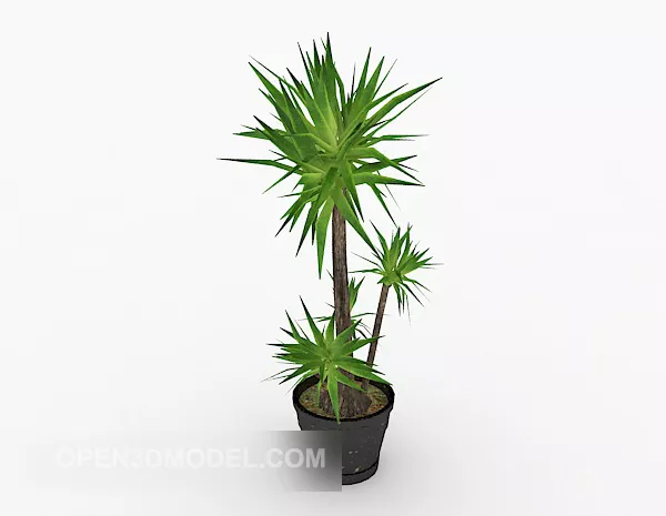 Fresh Indoor Potted 3d model Fresh Indoor Potted 3d model