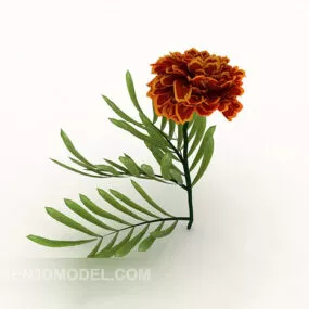 Furong Flower 3d model