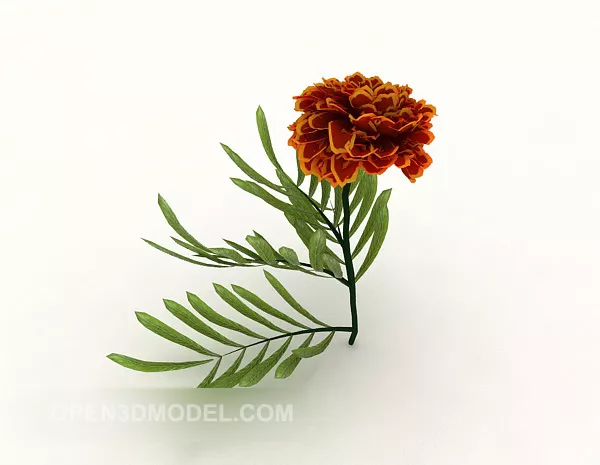 Furong Flower 3d model Furong Flower 3d model