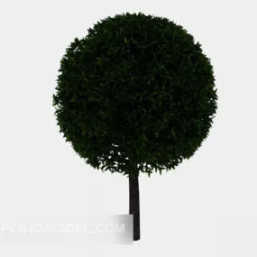 Tree Gardening Ornamental Plant 3d model