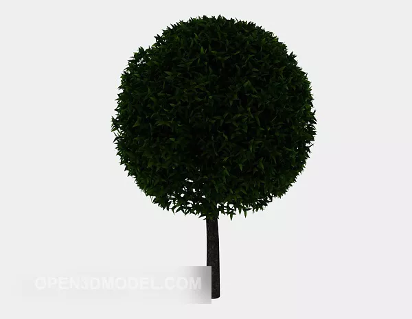 Tree Gardening Ornamental Plant 3d model Tree Gardening Ornamental Plant 3d model