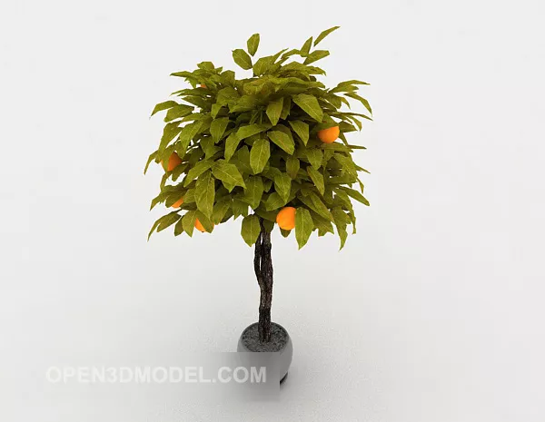 Two Oranges Fruit 3d model