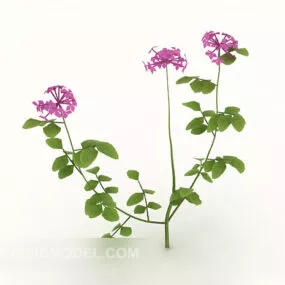 Green Bead Plant Tree 3d model
