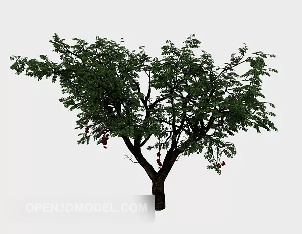 Green Plant Tree Broad Leaf 3d model Green Plant Tree Broad Leaf 3d model