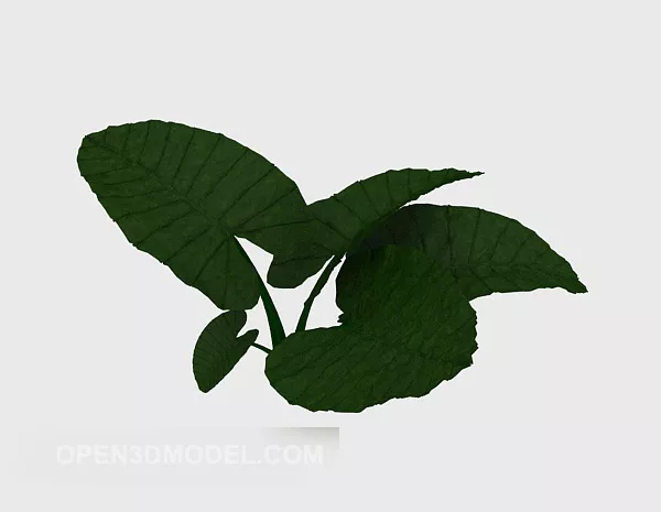 Green Big Leaf Plant V1 3d model Green Big Leaf Plant V1 3d model