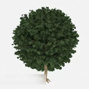 Leaf Plant Circle Hedge 3d model