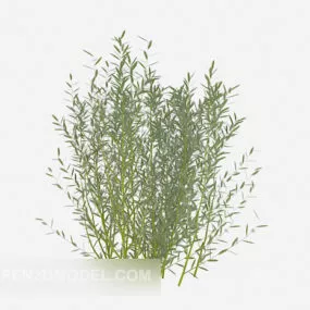 Green Leaf Sapling Tree 3d model