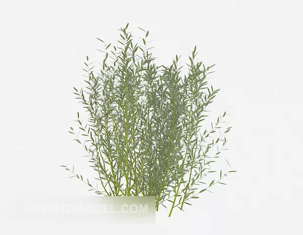 Green Leaf Sapling Tree 3d model Green Leaf Sapling Tree 3d model