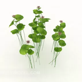 Green Ornamental Plant Tree 3d model