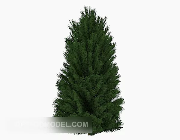 Green Pine 3d model Green Pine 3d model