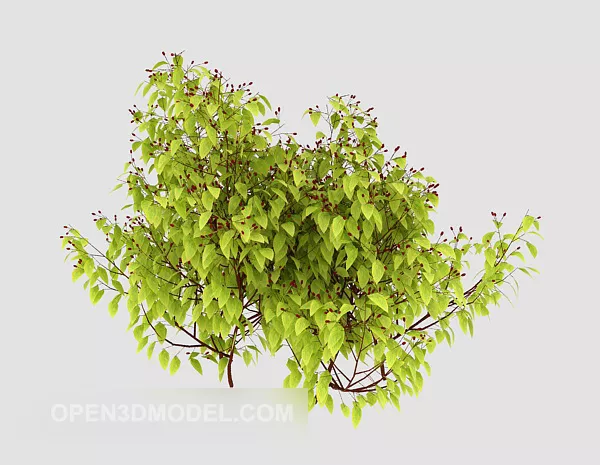 Green Plant Sapling 3d model Green Plant Sapling 3d model