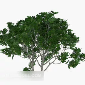 Big Green Tree Wood 3d model