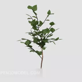 Green Tree Planting 3d model