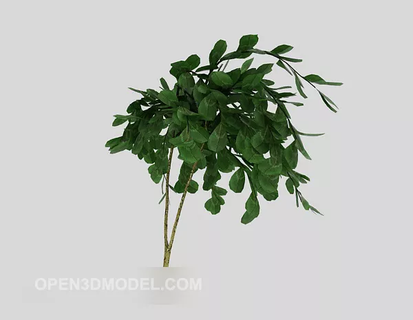 Green Branch Tree 3d model Green Branch Tree 3d model