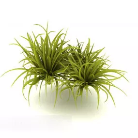 Green Grass Small Bush V1 3d model