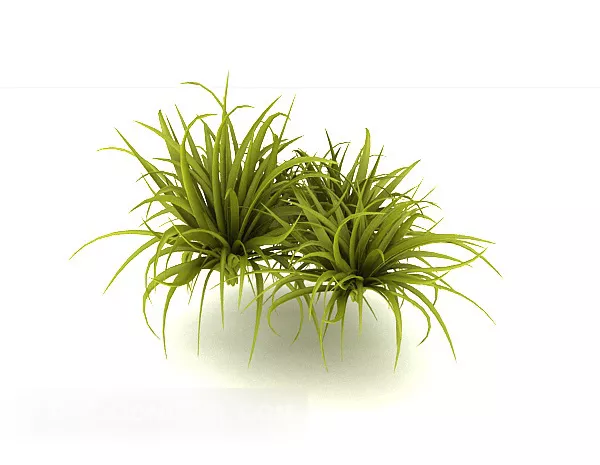 Green Grass Small Bush V1 3d model Green Grass Small Bush V1 3d model