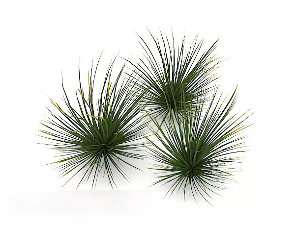Medium Bush, Autumn Leafs 3d model