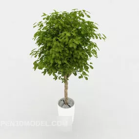 Green Home Bonsai Tree Decor 3d model