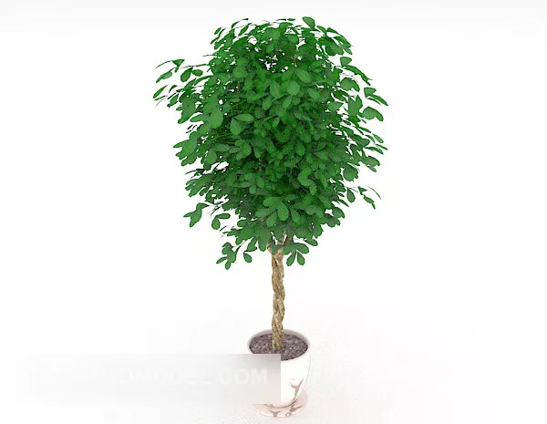 Green Home Potted 3d model Green Home Potted 3d model