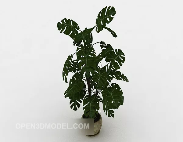 Green Indoor Plant 3d model Green Indoor Plant 3d model