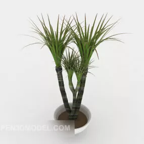 Green Tree Indoor Simple Potted 3d model