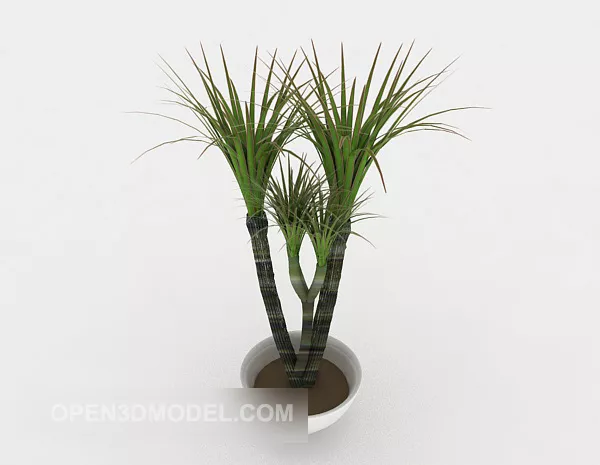 Green Tree Indoor Simple Potted 3d model Green Tree Indoor Simple Potted 3d model