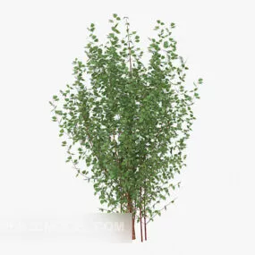 Green Leaf Plant Sapling 3d model