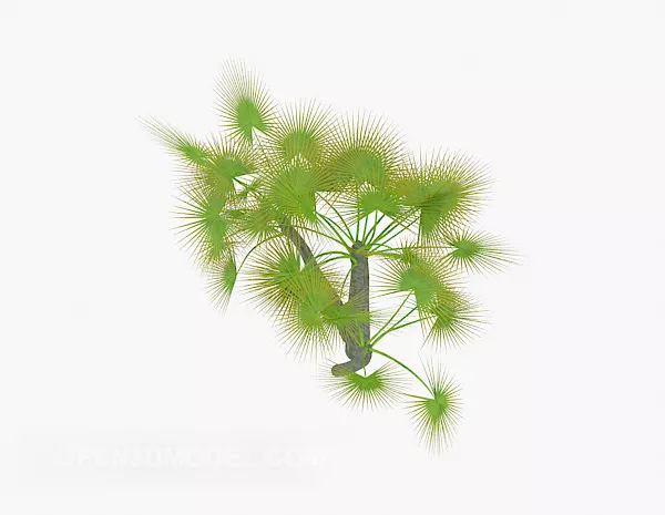Green Needle Plant 3d model Green Needle Plant 3d model