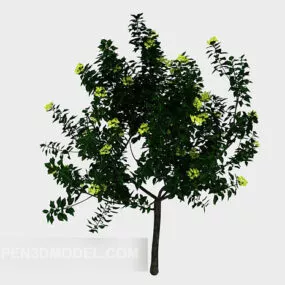 Nature Green Outdoor Plant 3d model