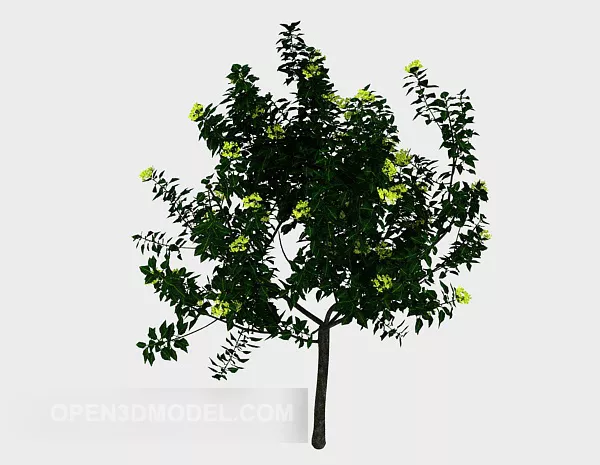 Nature Green Outdoor Plant 3d model Nature Green Outdoor Plant 3d model
