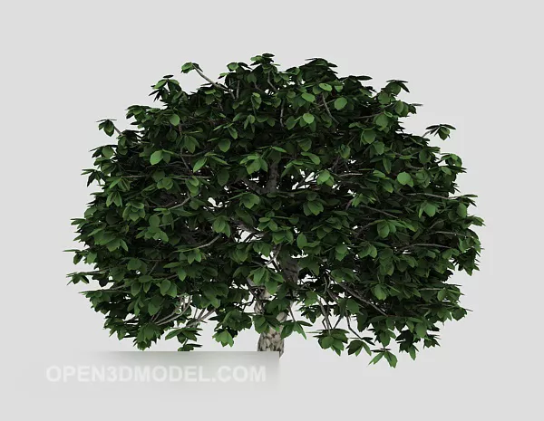 Bush Raspberry Tree 3d model