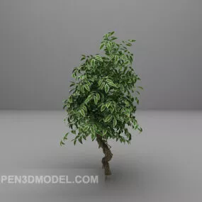 Green Tree Broad Leaf 3d model