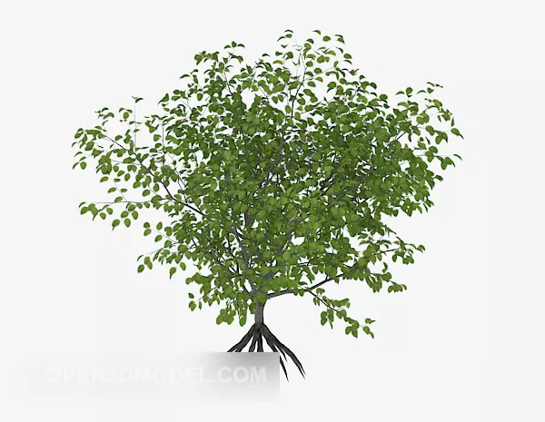 Green Plant Sapling Tree 3d model Green Plant Sapling Tree 3d model