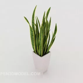 Potted Green Planting Tree 3d model
