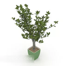 Green Pot Plant Tree 3d model