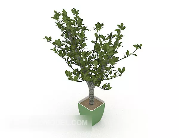 Small Cactus In Pot 3d model