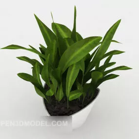 Green Potted Green Seedlings 3d model